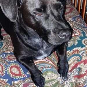 Meet your Posher, Willie